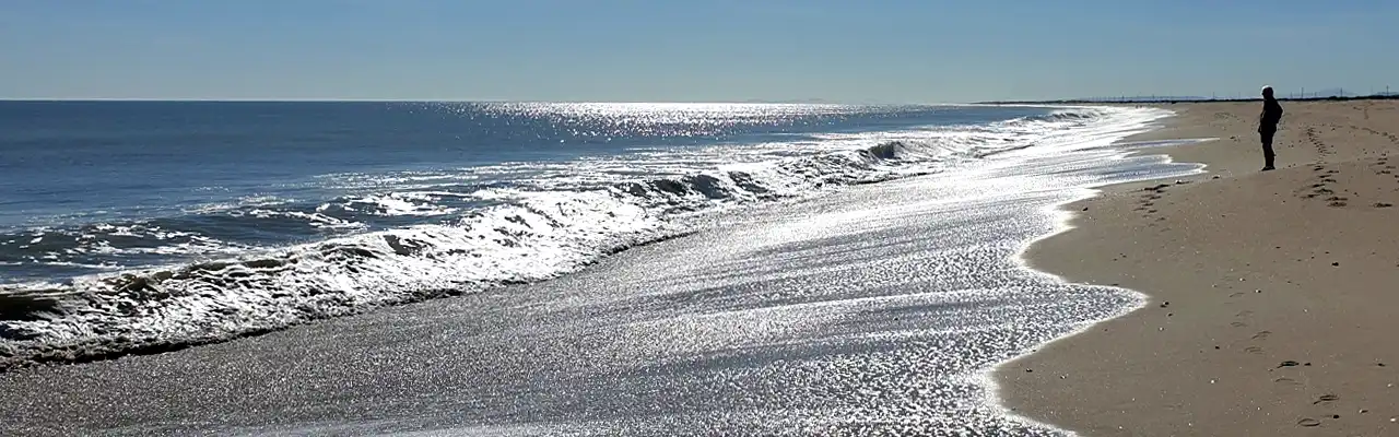beach